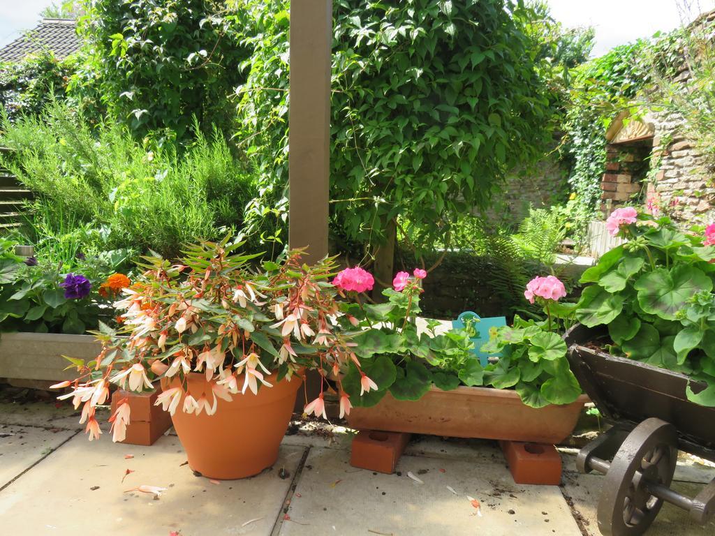 Little Orchard Apartment Pont Yates Exteriör bild